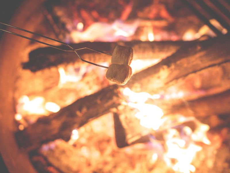 Children's Bushcraft Birthday Parties - camp
