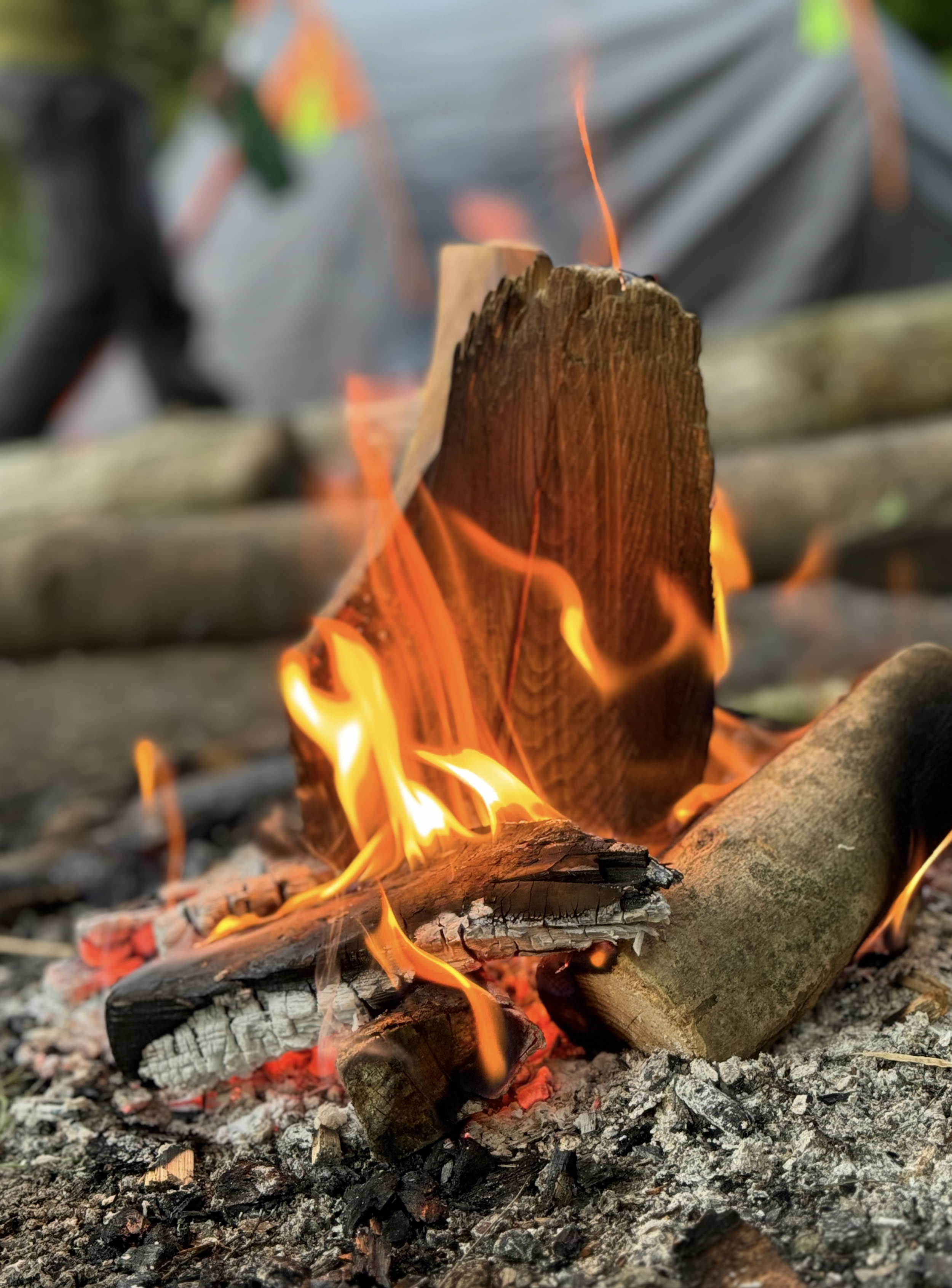Bushcraft 4