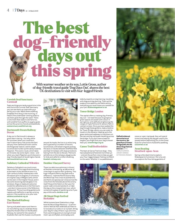 dog friendly days copy