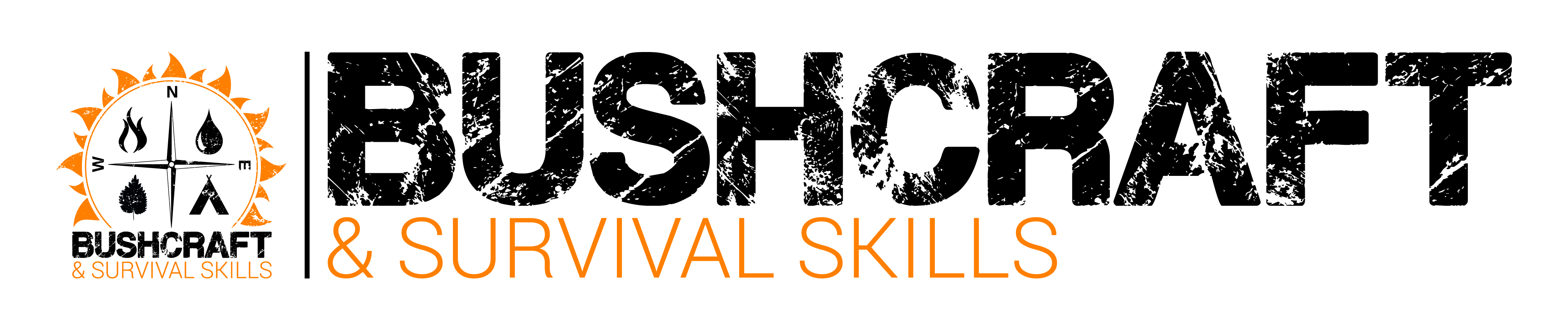 BSS Logo FINAL AW 01