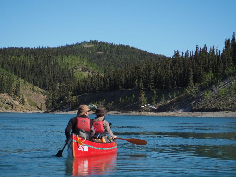 Paddling the Yukon