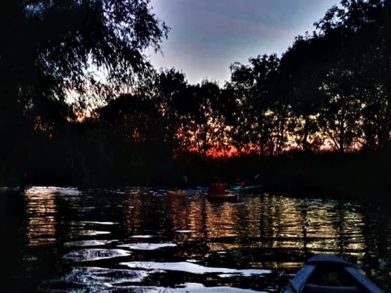 Paddle night