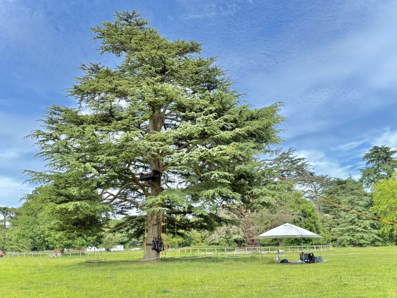 Tree Climbing Activities at the Adventure Village