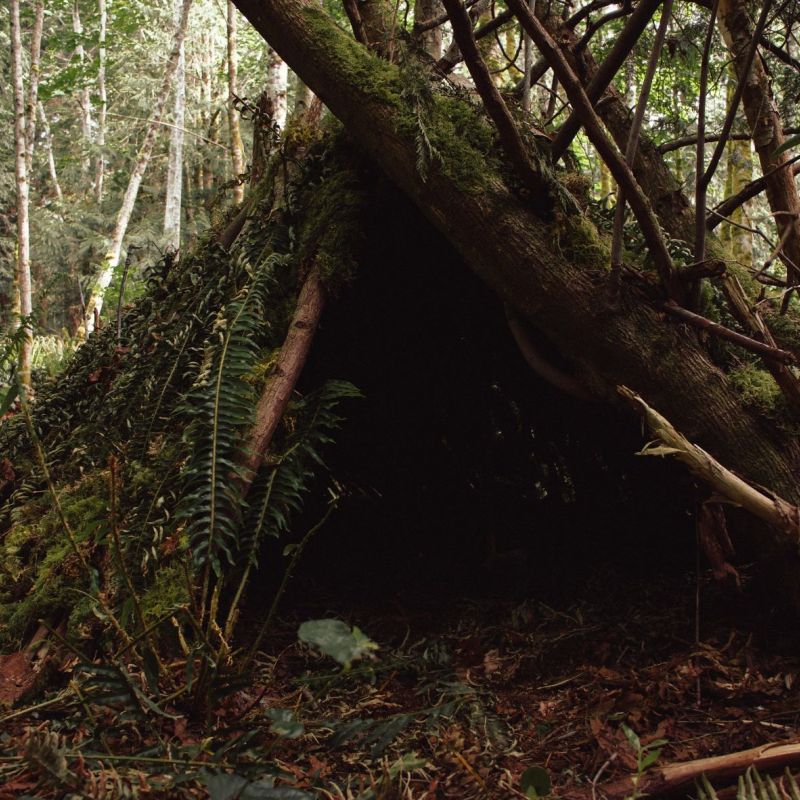 Bushcraft woodland shelter