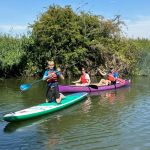 SUPs padding on the River Ouse at Kempston