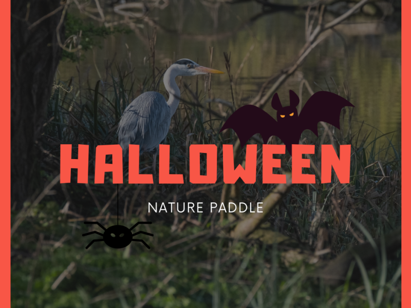 Halloween Nature Paddle, Spooky Event