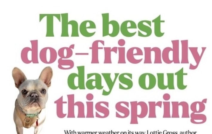 Canoe Trail Listed in I Paper Best Dog Days Out