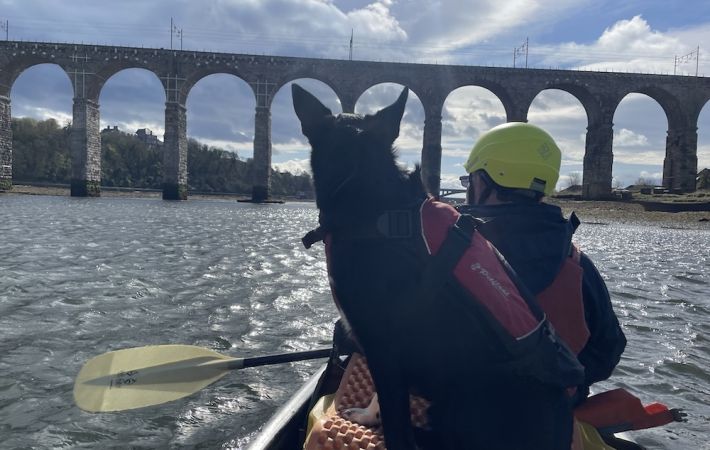 Taking the Plunge by Patrick Forbes